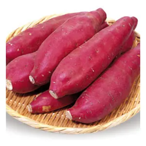 Top-Lieferant gefrorene frische süßkartoffel  hochwertiger Honig/japanische Süßkartoffel für Export  gefrorenes Gemüse