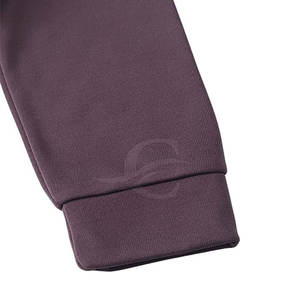 Usine en gros femmes décontracté doublé sweat-shirt meilleur prix bas quantité minimale de commande Streetwear Fitness Style pour l'hiver plaine teint toile - Product Image 4