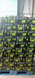 Premium Quality <b>Fresh</b> Seedless Lemon From Vietnam with Juicy and Natural Taste - Product Image 3