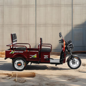 QSD Factory's Hot Sale 48V <span class=keywords><strong>Trimoto</strong></span> eléctrico Bicicleta <span class=keywords><strong>de</strong></span> carga <span class=keywords><strong>de</strong></span> 3 ruedas Cuerpo abierto para 2 personas Viaje urbano Paseos relajados - Product Image 4