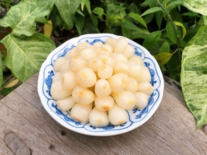 Top-selling Việt ngâm tỏi tây nhỏ trong nước muối với một hương vị ngọt và chua cung cấp tại một kỳ nghỉ giá tốt - Product Image 5