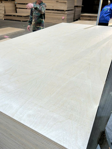 Contrachapado Comercial, Contrachapado de Abedul para Muebles - Product Image 6
