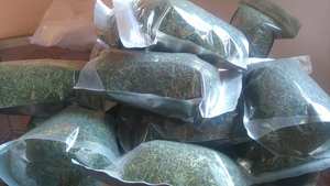 Feuilles de citron vert kaffir séchées 100% Feuille de citron naturel - Product Image 3