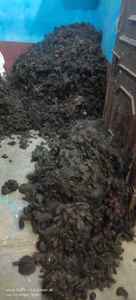 Venta al por mayor 100% virgen peruano Remy pelo de alta calidad Guti Goli pelo directo de la India-Raw Hair Ball máquina doble trama cuerpo onda - Product Image 3