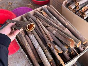 Bâton de cannelle séché CASSIA de haute qualité au Vietnam à bas prix - Product Image 4