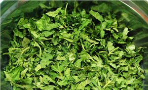 ใบสตรอเบอรี่ออร์แกนิกผลิตภัณฑ์จากเวียดนาม - Product Image 5