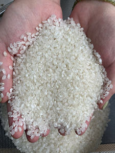 Arroz Japonica de Alta Calidad al por Mayor de Vietnam para Supermercados, Servicios de Alimentos y Compradores Internacionales - Product Image 2