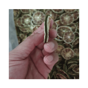 ล้อส้มธรรมชาติมะนาวอบแห้งสำหรับโรยหน้าม็อกเทลและซองชาวัสดุที่แห้งอย่างดีจากเวียดนามสำหรับร้านบูติก - Product Image 5