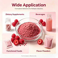 Bulk Fruitpoeder Collectie Aardbei Blauwe Bes Mango Framboos Cranberry Spraygedroogd Vriesgedroogd Poeder