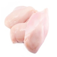 Filet de poitrine de poulet surgelé sans os de qualité supérieure |   Filets de poulet halal de haute qualité, sans graisses trans, en vrac, riches en vitamines, prix compétitifs