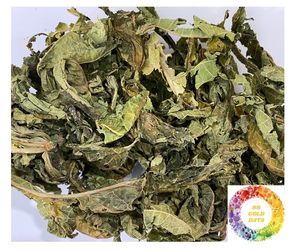 Hojas de papaya secas puras al mejor valor, té de hojas de papaya secas de alta potencia, hoja de papaya 100% natural de Vietnam para el bienestar - Product Image 2