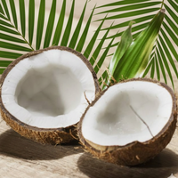 Wild kokospoeder kruidenextract plantaardig kokosingrediënt functioneel voedingsmiddel drank groothandel OEM leverancier Thailand