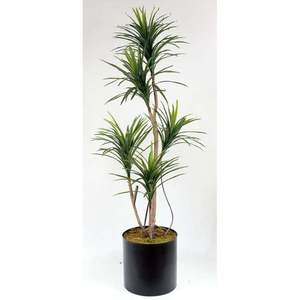 Cây Yucca nhân tạo annaflower <span class=keywords><strong>180cm</strong></span> - Product Image 1