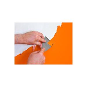 Removedor de Pintura 1000 ml - Desengrasante de Alta Resistencia - Product Image 1