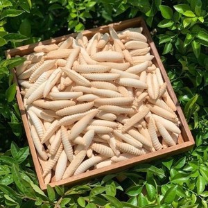 คุกกี้ยีสต์ทุเรียนส่งออกจำนวนมากจากเวียดนาม - Product Image 2