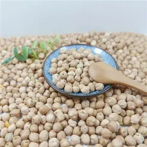 KABULI Dried Raw Chinese Origin <b>Chickpeas</b> for Sale 7mm 8mm 9mm Size Available - Product Image 4