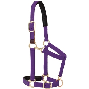 En gros : Halter en cuir pour chevaux de course, conception personnalisée, léger, durable, confortable, équipement sportif d'extérieur, couvertures pour chevaux - Product Image 2