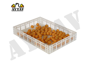 Incubadora de Huevos para Pollo, Pavo y Pollitos, Equipo de Incubación Avícola PP AYTAV, Sistema de Incubación para Granjas AYTAV - Product Image 2