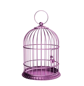 Casa de mascotas de metal moderna de lujo de fabricante indio decoración del hogar que muestra jaulas para mascotas a precio razonable - Product Image 6