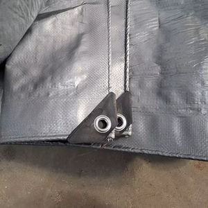 Diverse Sizes and Plain Styles PE Tarpaulins <b>Waterproof</b> Mesh <b>Fabric</b> From 90gsm to 250gsm Available in Various Colors - Product Image 1