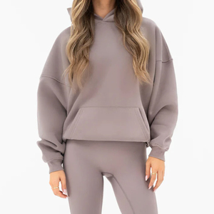 เสื้อฮู้ดดี้สตรีทแวร์ปี 2026 ผ้าหนา ทรงโอเวอร์ไซส์ แบบสั่งทำพิเศษ ไหล่ตก ไม่มีเชือก ผ้าสองชั้น 500gsm ทรงบ็อกซี่ พิมพ์ลายพัฟ - Product Image 1