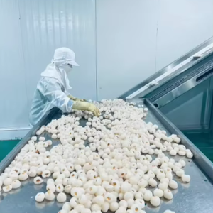 Litchi congelé Approvisionnement d'usine du Vietnam Litchi pelé IQF Parfait pour les jus Desserts et le thé à bulles - Product Image 1