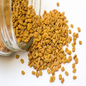Vente en gros de graines de fenugrec | Épice pure et naturelle | Exportateur et fabricant d'Inde - Product Image 2