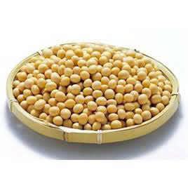 2024 Vietnamese Premium Quality Non-GMO Dry Soya <b>Beans</b> High Quality GMO-Free Soybeans in Bulk Packaging - Product Image 5
