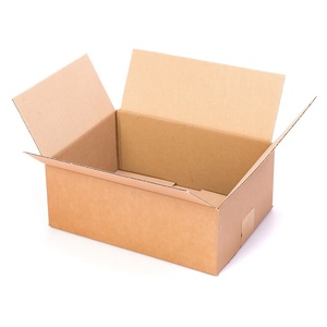 Caja Baja Mediana de Cartón Kraft 305x228x102 mm con Solapas Resistentes, Impresión UV en Color Marrón Kraft para Envíos - Product Image 1