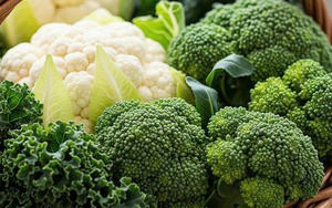 Brócoli orgánico: Calidad Premium de exportación de Vietnam - Product Image 5