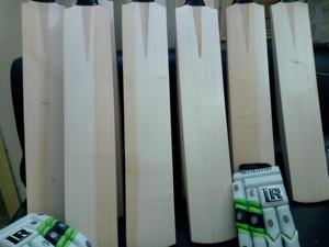 Inglés Willow Cricket Bates Para Entrenamiento - Product Image 6