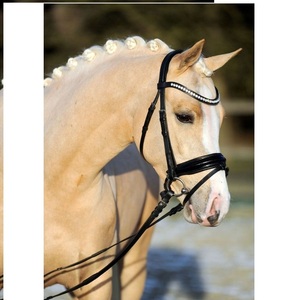 MEILLEURE bride de cheval de haute qualité avec bande de front en cristal pour chevaux NOUVEAU cheval noir bride en cuir fantaisie - Product Image 6