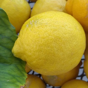 <b>Fresh</b> Lemons Eureka Farm Picked <b>Fresh</b> Lemons Eureka Packed for Bulk Orders with Natural Juice and Rich Aroma - Product Image 3