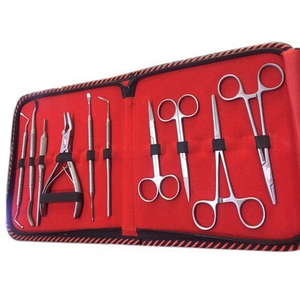 Kit chirurgical vétérinaire en acier inoxydable de qualité supérieure, instruments de chirurgie dentaire manuels réutilisables pour interventions sur les animaux - Product Image 4