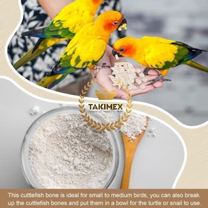 Polvo de hueso de sepia seca de alta calidad 100% hueso de sepia natural de Vietnam - Product Image 2