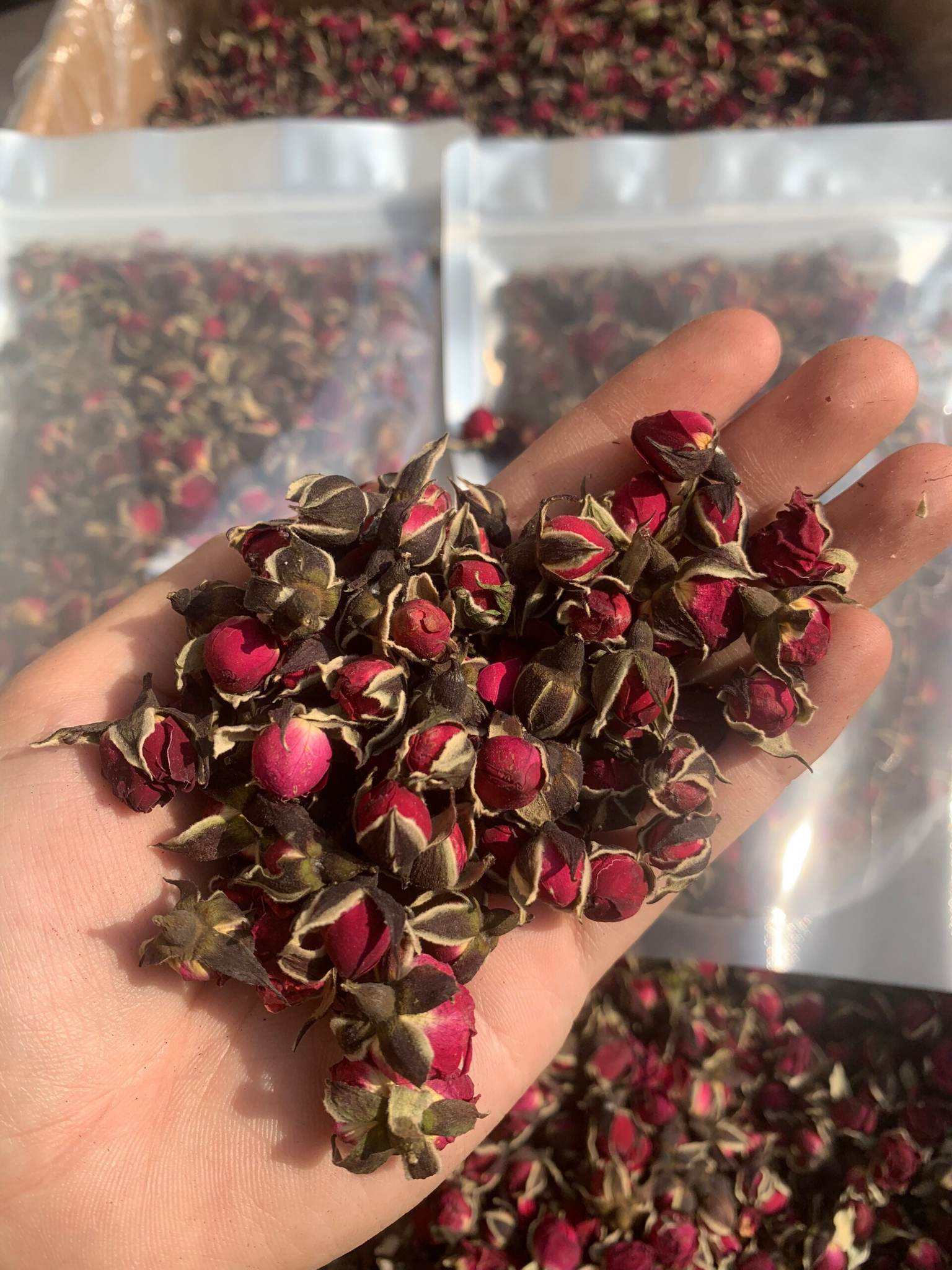 มณฑลเบอร์กันดี