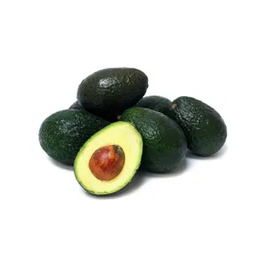 Fresh Avocado / Hass Avocado, Fuerte Avocado For Sale