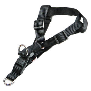 Correa para Perro Talla 1 - Product Image 1