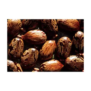 High Quality Cheap Castor Seeds / Cheap High Quality Natural Castor Oil For Sale