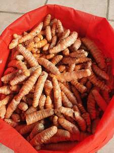 สำรวจราคาที่น่าสนใจของเราสำหรับขมิ้นแห้งขายส่งส่งออกจากเวียดนาม - Product Image 6