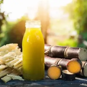 Jus de canne à sucre en vrac du Vietnam, prix compétitif, directement de l'usine - Product Image 4