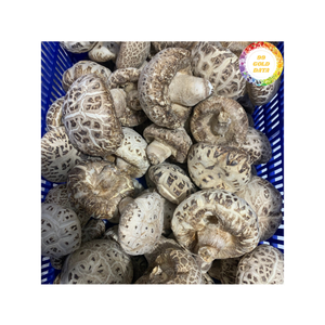 Seta seca de Vietnam, producto natural de alta calidad para saborizar salsas, fideos y distribución internacional de exportaciones - Product Image 3