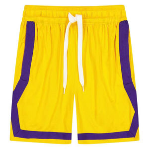Derniers modèles de shorts d'été en maille pour hommes, coupe ample, short de basket-ball décontracté à panneaux OEM Teamwear Casual Shorts OEM - Product Image 1