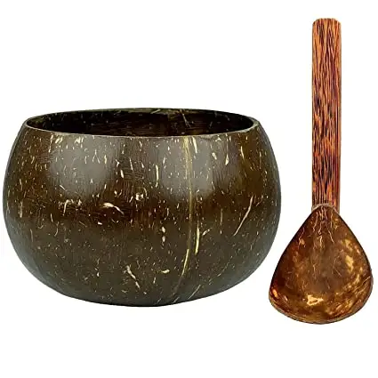 Coconut Shell Bowl