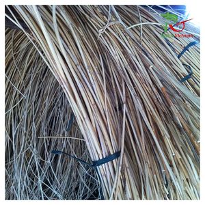 Best Seller HNIECO 12-30mm Eco-Friendly Natural Rattan <b>Poles</b> Vietnam Origin OEM <b>Garden</b> Furniture Handicraft - Product Image 1