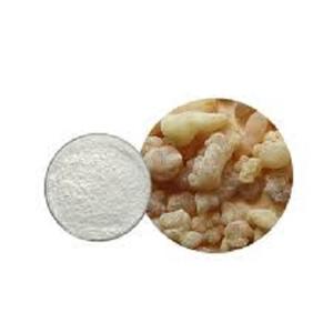 Suministro de fábrica 100% suplementos de grado alimenticio natural puro muestra gratis altos ácidos boswellicos EXTRACTO DE Boswellia Serrata - Product Image 4