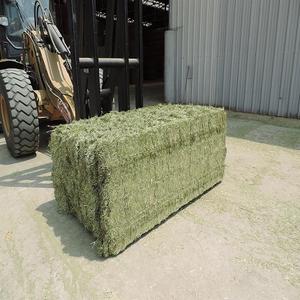 Foin d'alfalfa naturel disponible en gros pour l'alimentation animale, bovins, chevaux, en sacs de 25 kg, qualité A, humidité 10% - Product Image 1