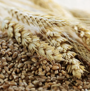 รำข้าวอาหารสัตว์จำนวนมากขายส่ง - Product Image 5