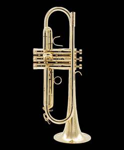 Corne de clairon en laiton élégante avec un aspect décoratif adapté aux intérieurs de maison et aux collections culturelles - Product Image 3