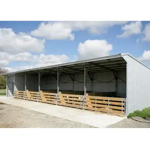 Dairy Farm Shed For Live Cattle Building Available In Different Size Made By China Manufacturer